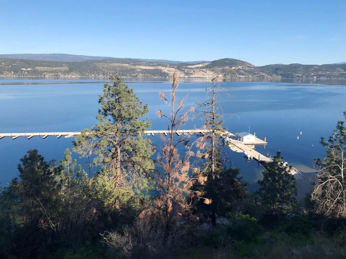 Cozystay Signature Lake Okanagan Resort Kelowna Eksteriør billede